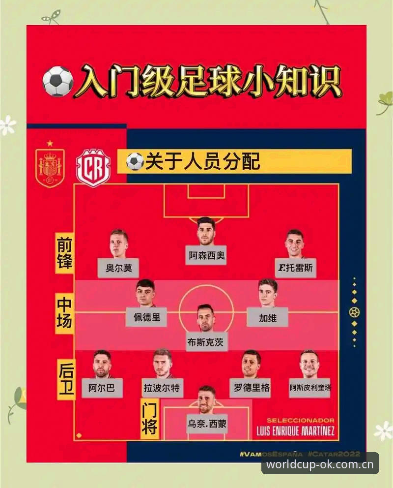 世界杯外围买球官网入口避坑指南：行家通道的筛选逻辑与实操细节